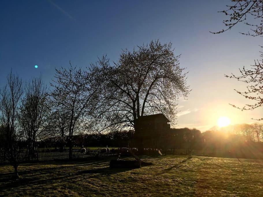Gerestaureerde Hoeve Met Zicht Durbuy Dış mekan fotoğraf