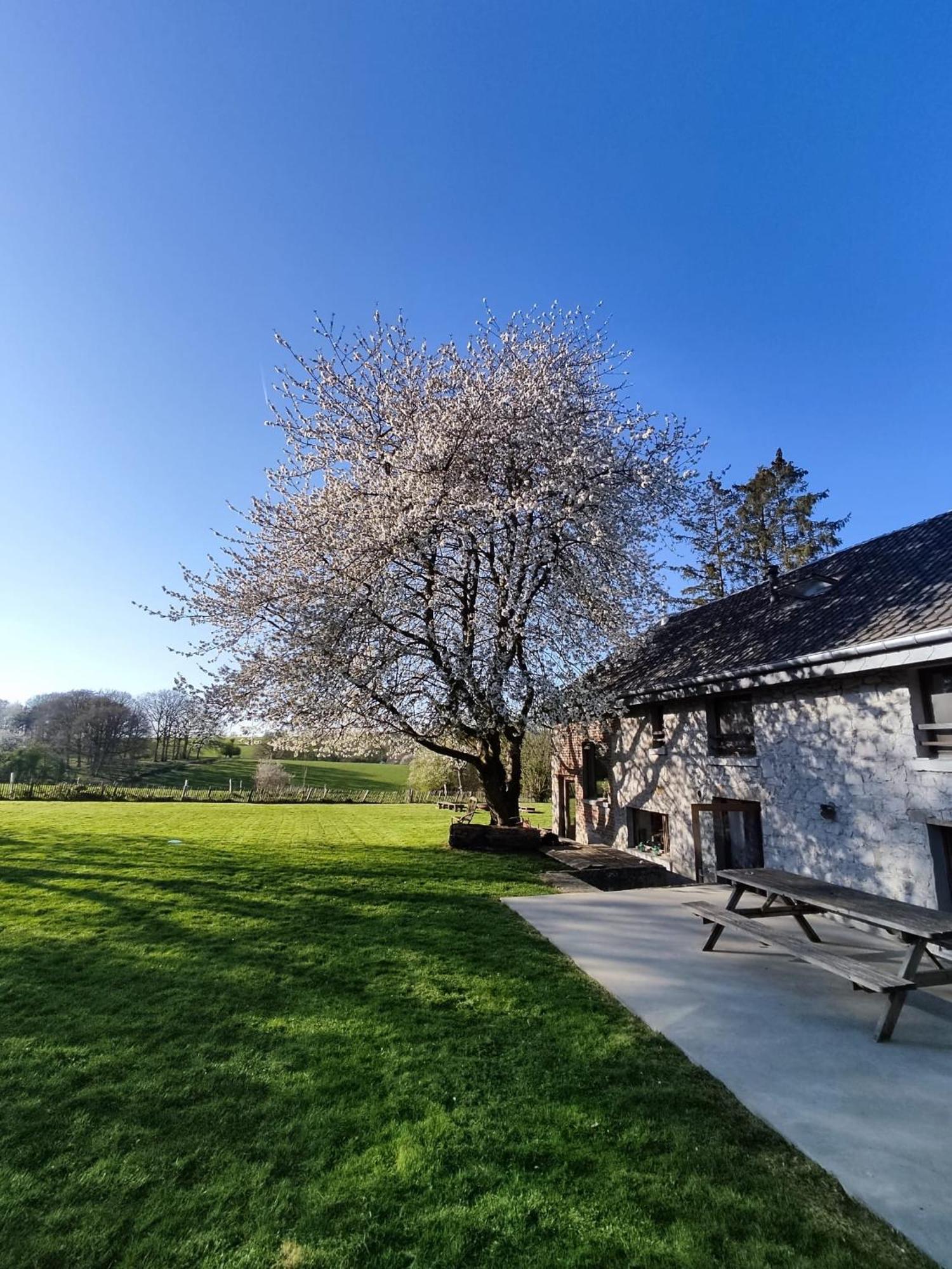 Gerestaureerde Hoeve Met Zicht Durbuy Dış mekan fotoğraf
