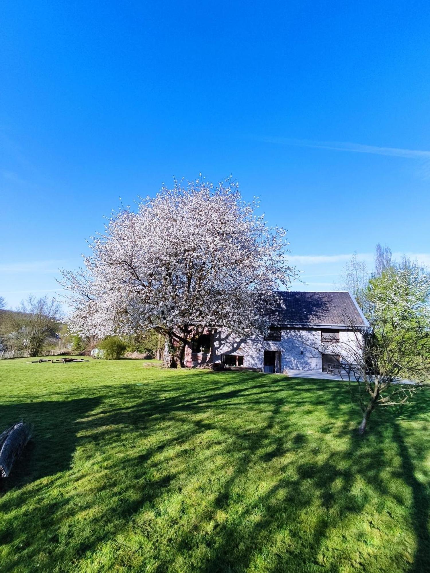 Gerestaureerde Hoeve Met Zicht Durbuy Dış mekan fotoğraf